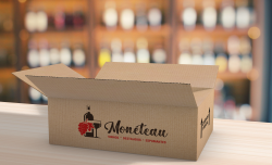 Caixa de Papelão 33x22x12cm